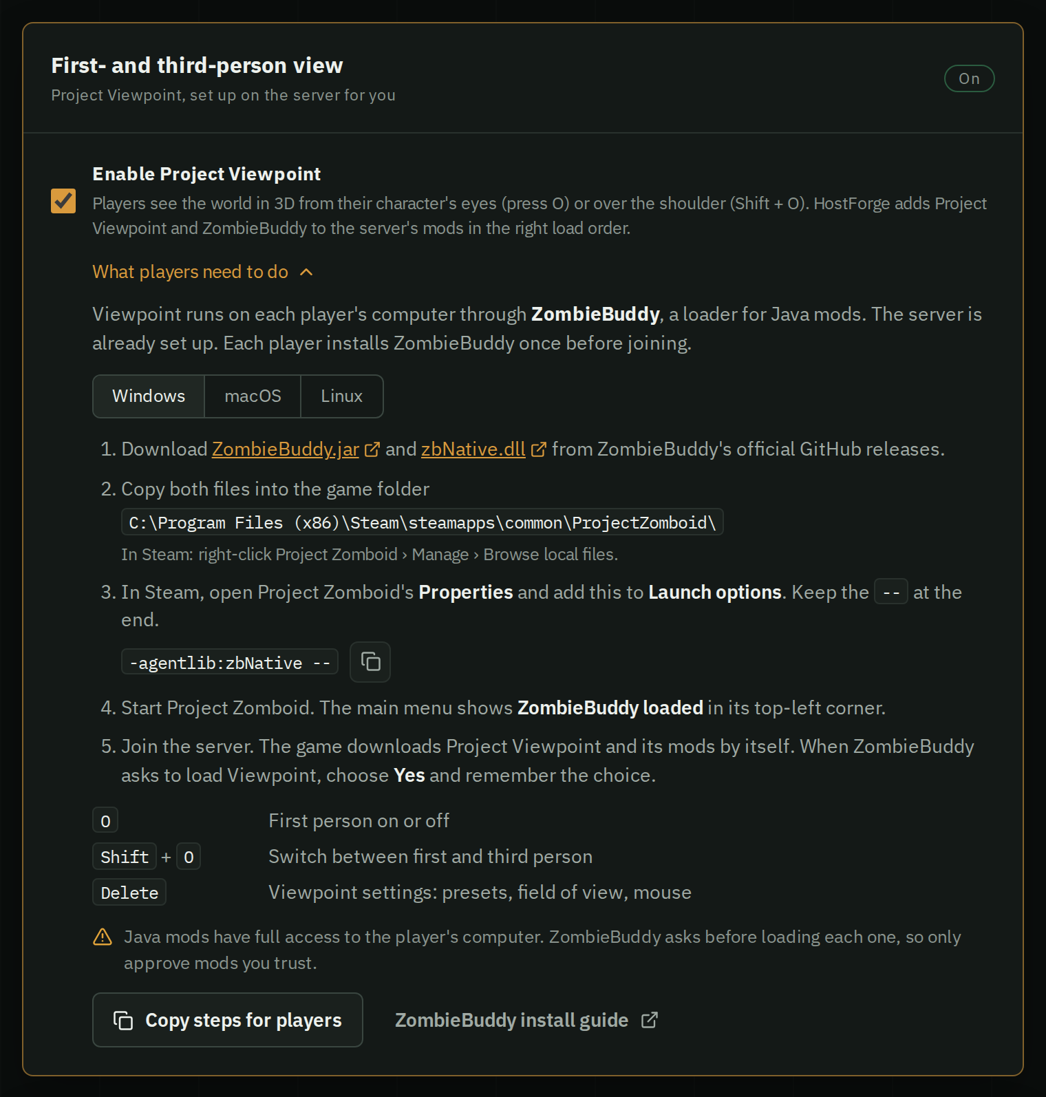 HostForge's Project Viewpoint panel: Enable Project Viewpoint ticked and the player steps for Windows with download links, the game folder and the launch option to copy.
